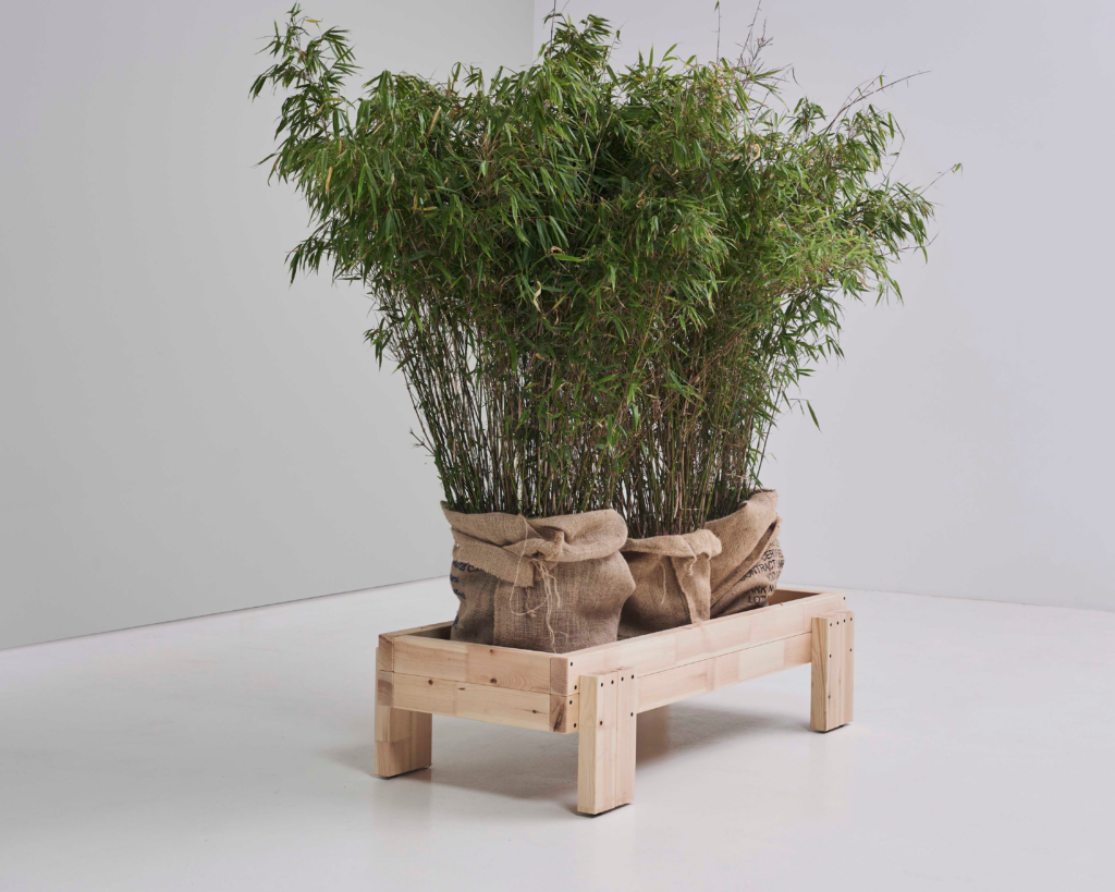 Display Recrafted - Image 3